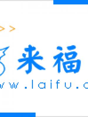 九龙夜航封面